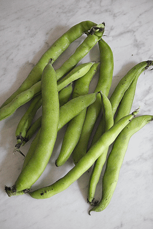 Fava Bean Spread_2_Gold&Thyme