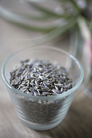 Lavender Infused Shea Butter_3_Gold&Thyme