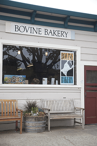 Bovine Bakery_1_Gold&Thyme