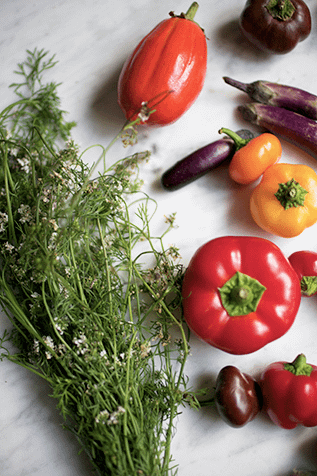 Mini Fall Vegetable & Chard Tacos_8_Gold&Thyme