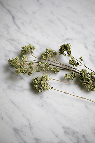 Mini Fall Vegetable & Chard Tacos_11_Gold&Thyme