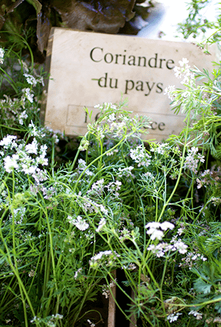 Mini Fall Vegetable & Chard Tacos_3_Gold&Thyme