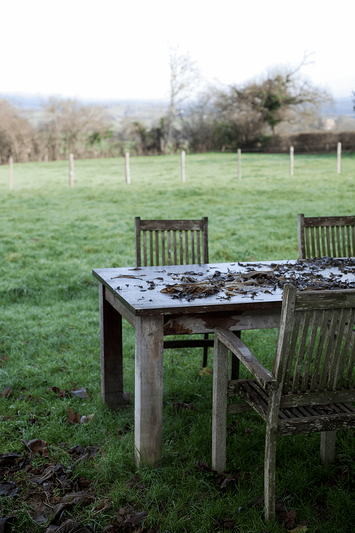 Maple & Lemon Pear Compote_12_Gold&Thyme