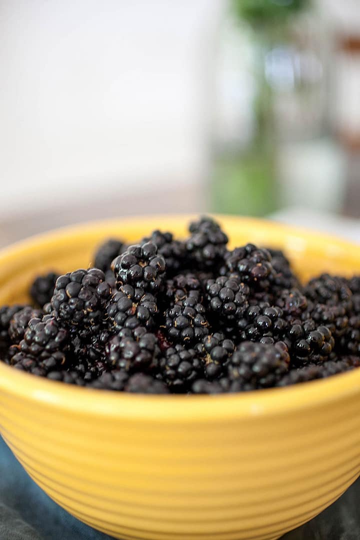 Fresh Blackberry Tart + Walnut Crust_6_Gold&Thyme Fresh Blackberry Tart + Walnut Crust_6_Gold&Thyme