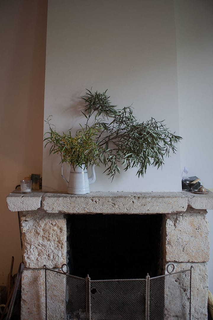 Meadowsweet Mint Spring Tea_10_Gold&Thyme Meadowsweet Mint Spring Tea_10_Gold&Thyme