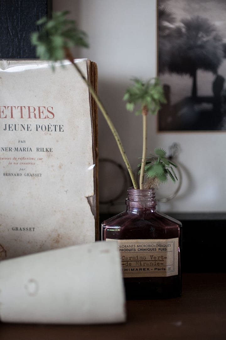 Meadowsweet Mint Spring Tea_14_Gold&Thyme