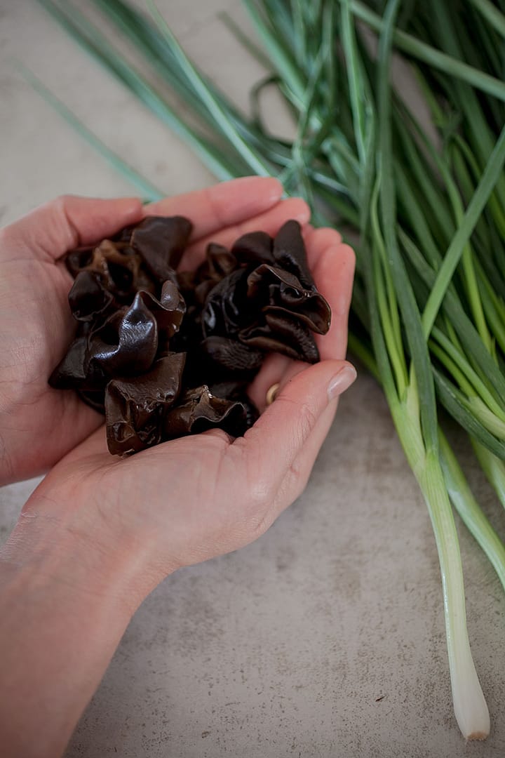 Mushroom Dumplings_1_Gold&Thyme Mushroom Dumplings_1_Gold&Thyme