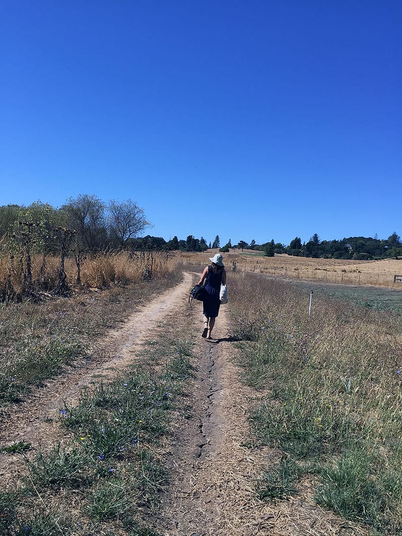 Sustainable Beeswax_18_Gold&Thyme