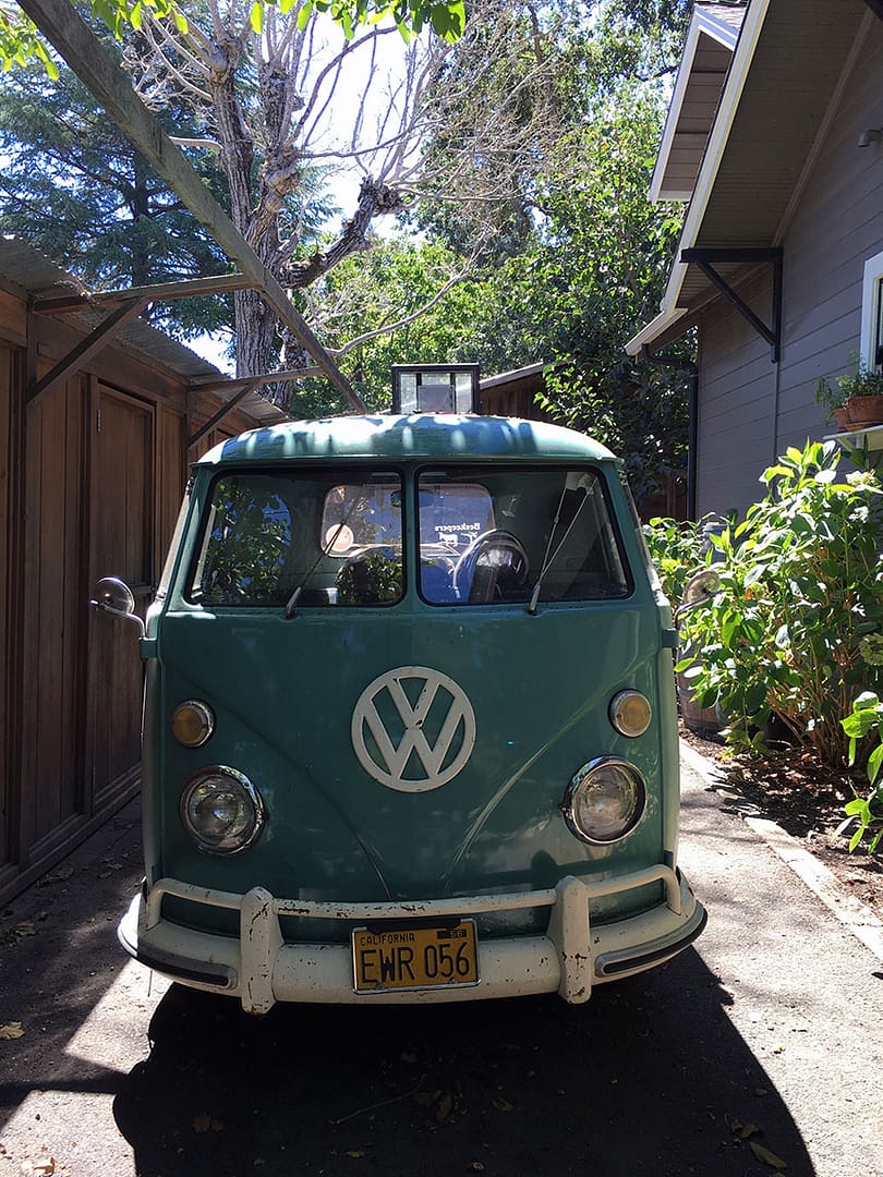 Sustainable Beeswax_20_Gold&Thyme Sustainable Beeswax_20_Gold&Thyme