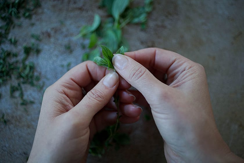 Za'Atar Spice_4_Gold&Thyme Za'Atar Spice_4_Gold&Thyme