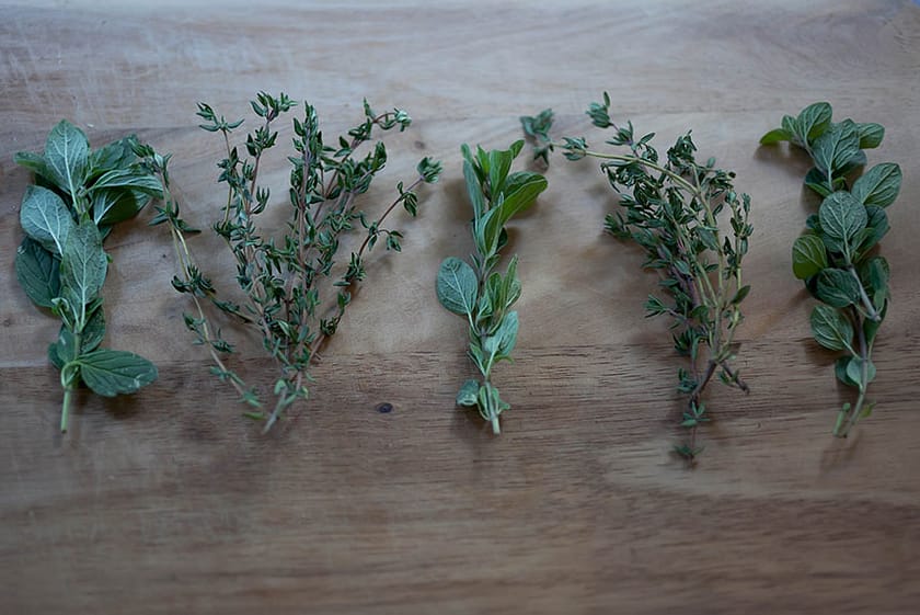 Za'Atar Spice_2_Gold&Thyme Za'Atar Spice_2_Gold&Thyme