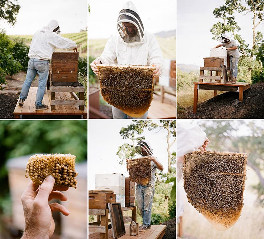 tumblr_ln1xxfdze51qfmijio1_1280_Meg Smith tumblr_ln1xxfdze51qfmijio1_1280_Meg Smith